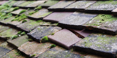 Eltisley roof repair costs